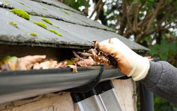 gutter cleaning Montrose, Angus