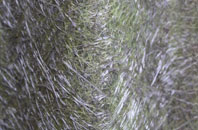 Montrose fibreglass roof work