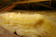 Montrose pitch roof insulation
